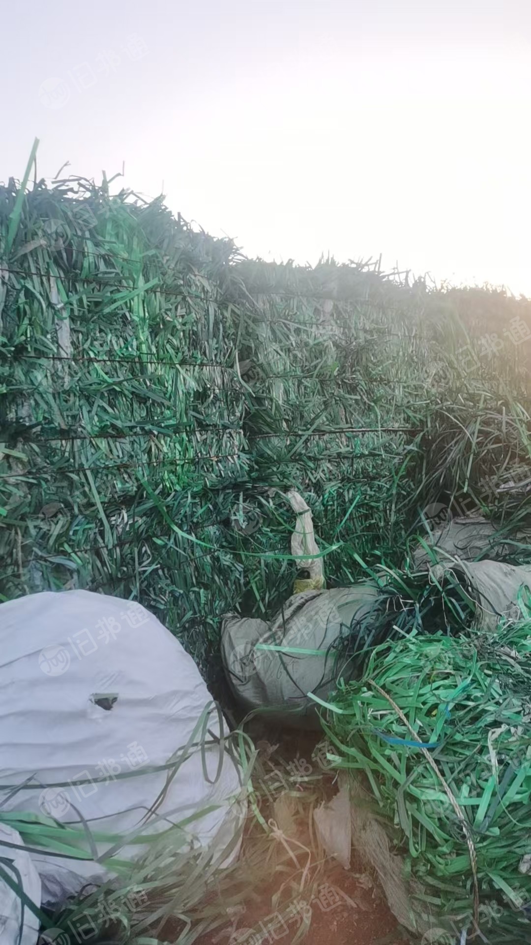 常年出售PET打包带毛料，现货三十几吨