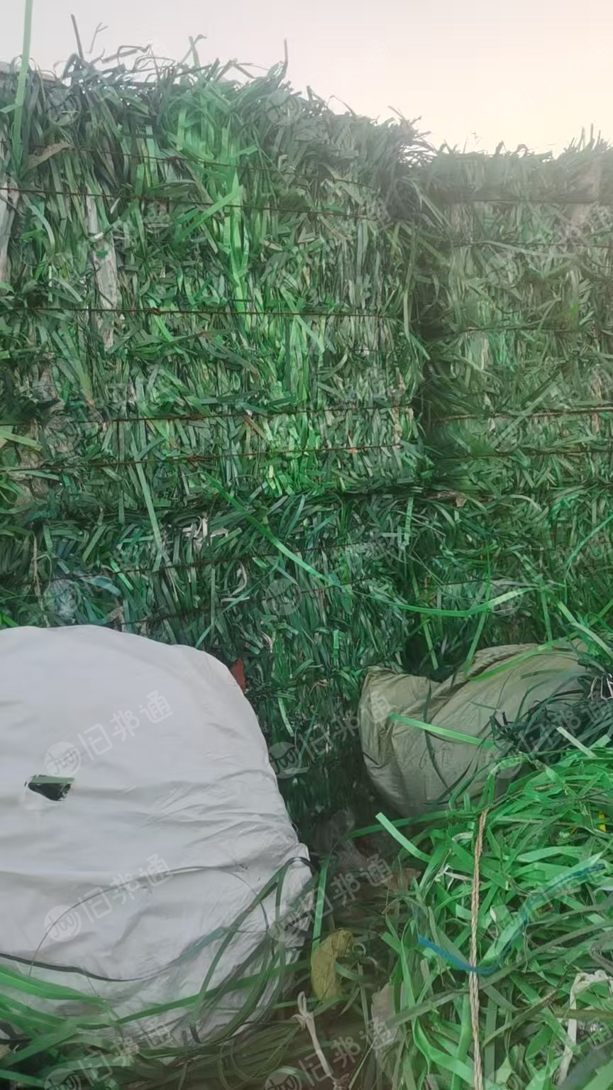 常年出售PET打包带毛料，现货三十几吨