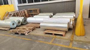 长期出售PET膜废料，车衣上下来的，有透明和乳白色的