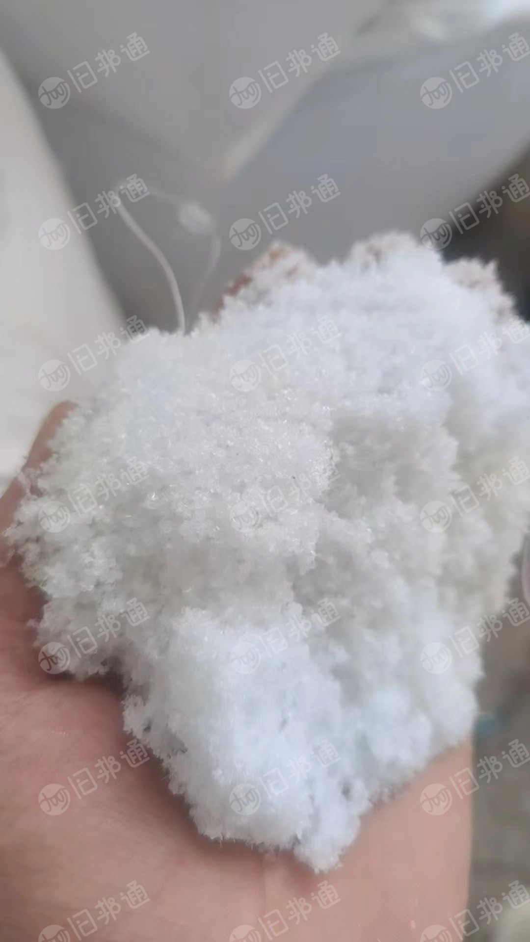 长期出售pc粉末废料，现货20吨左右