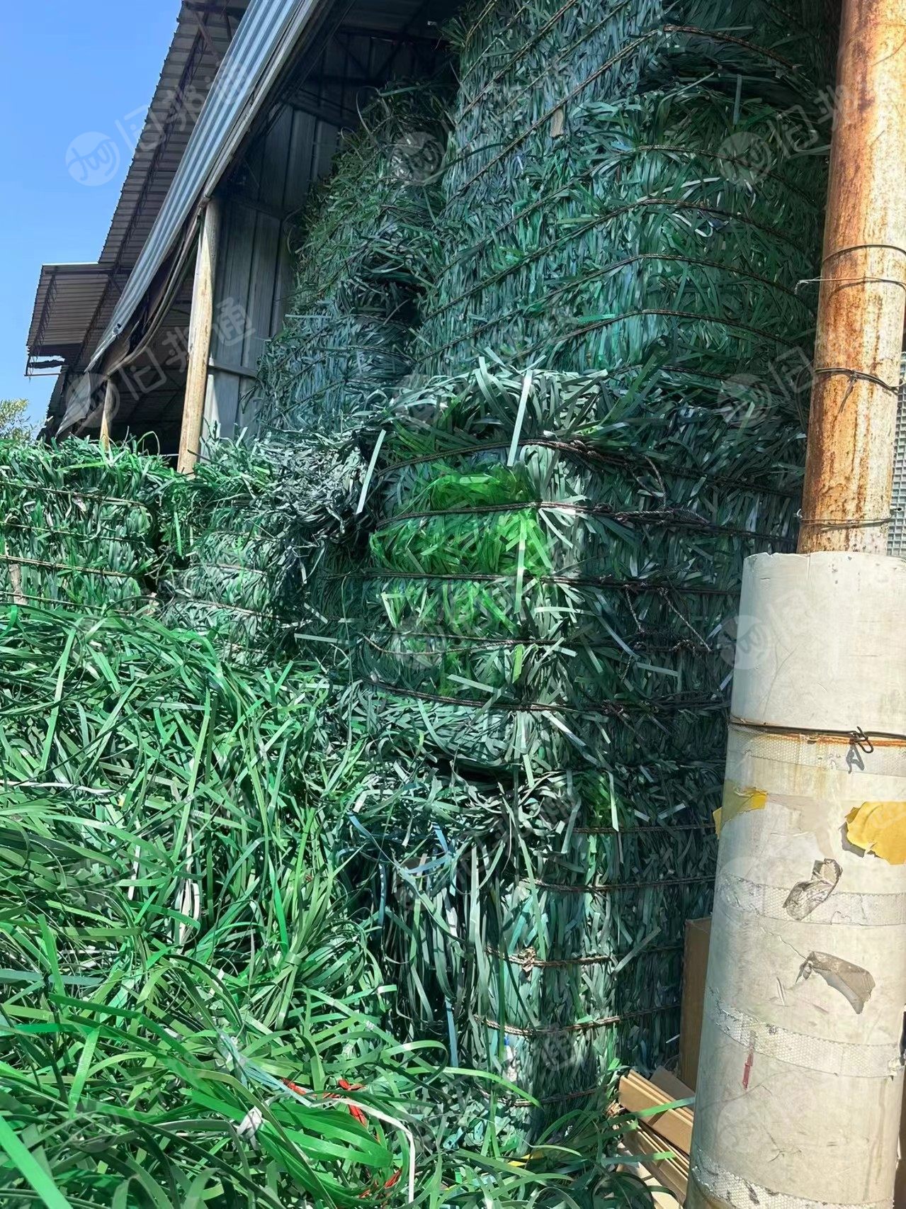 长期出售pet打包带，厂货社会料都有