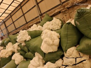 出售单六尼龙废丝，纯白色PA6锦纶废丝，现货十几吨