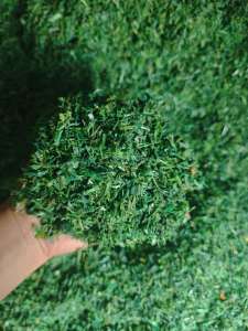 常年出售PET水洗打包带破碎料