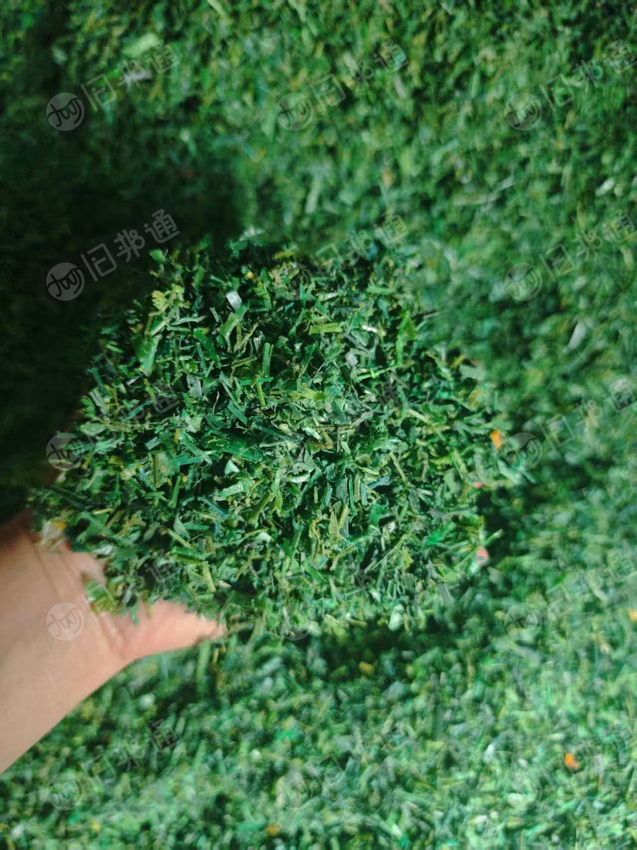 常年出售PET水洗打包带破碎料