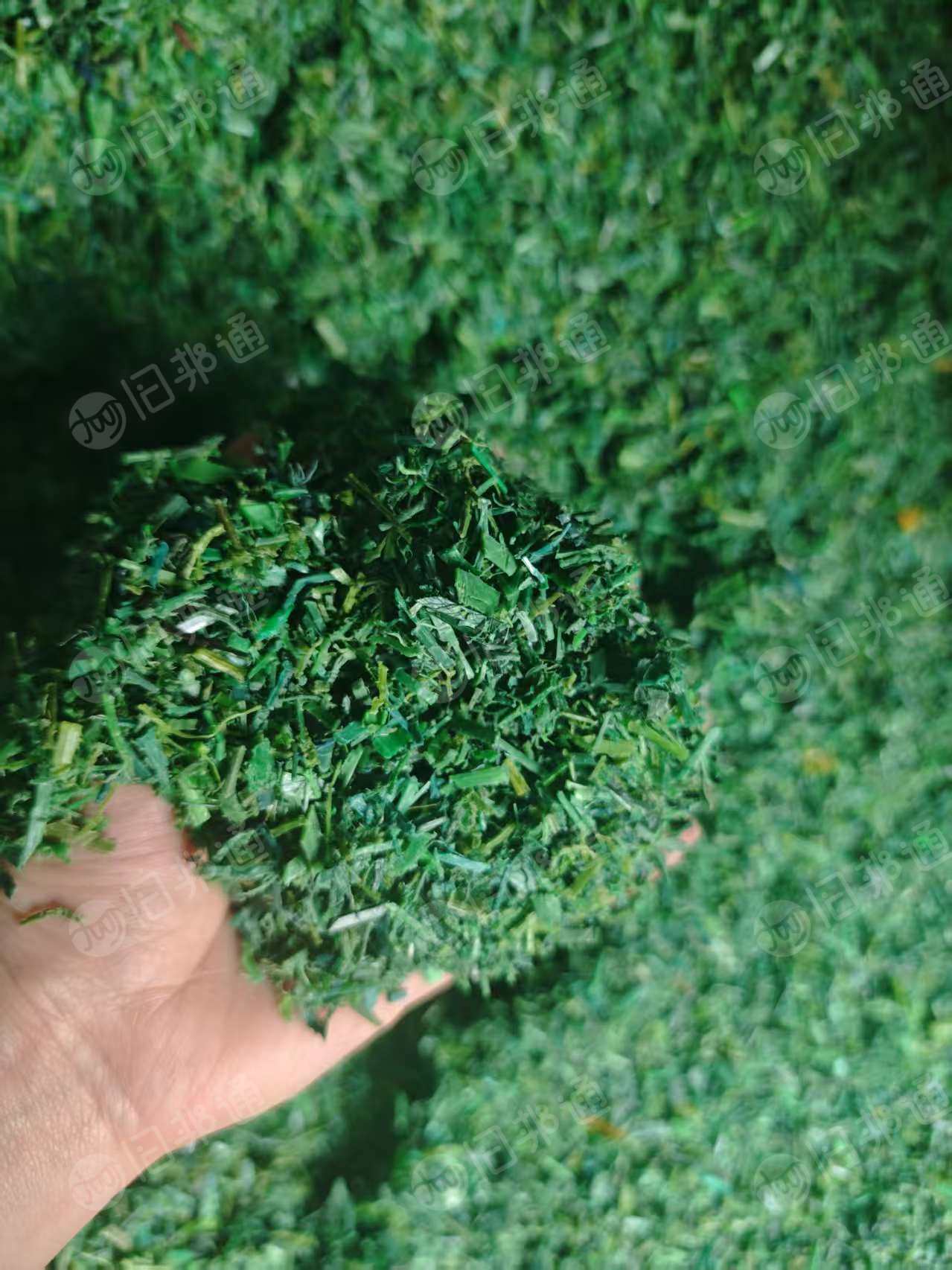 常年出售PET水洗打包带破碎料