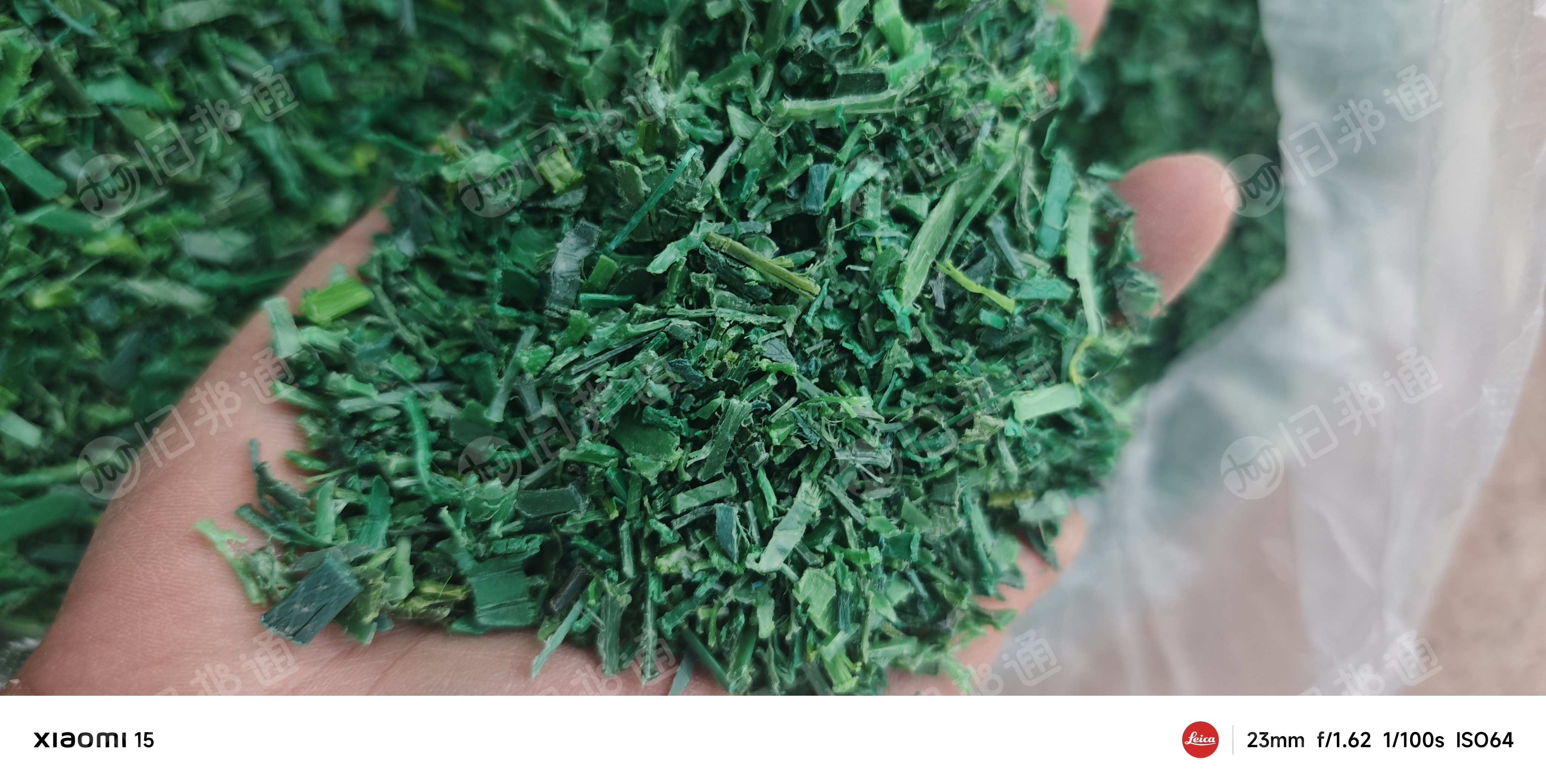 常年出售PET水洗打包带破碎料