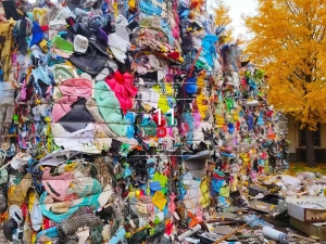 长期出售花丙压块，现货一挂车