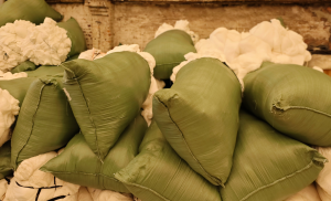 长期出售割下来的单6尼龙开刀丝，尼龙废丝，锦纶丝，现货八九吨