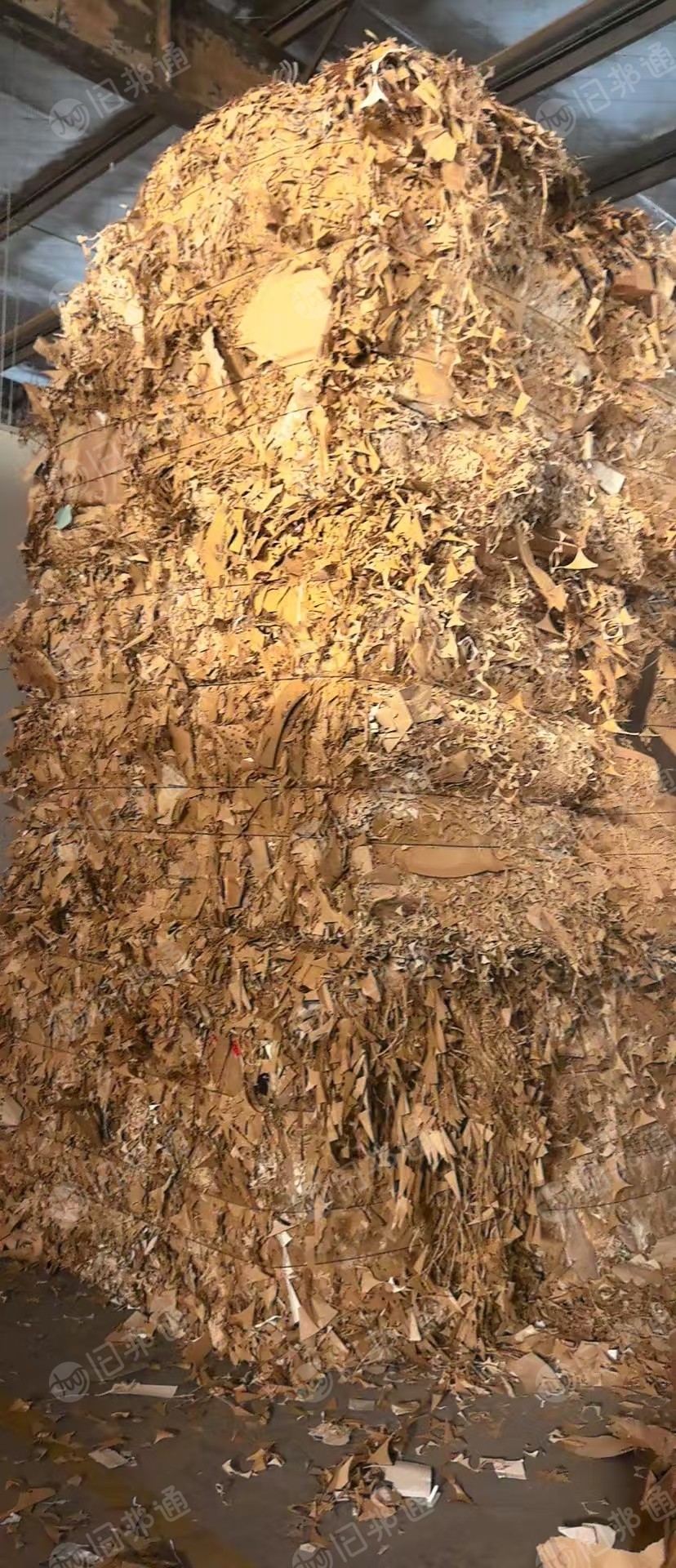 长期出售本色口杯纸边角料