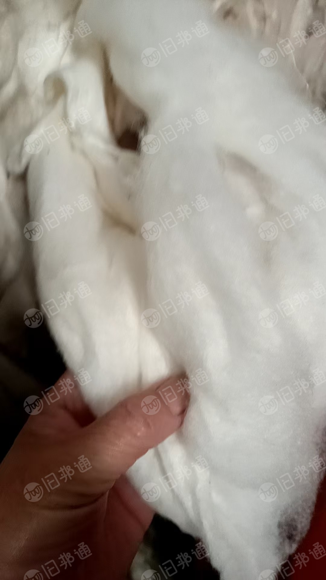 出售部队棉袄边角料，粘胶针刺棉边料，毛型粘胶边角料，现货有3吨多，货在江苏无锡