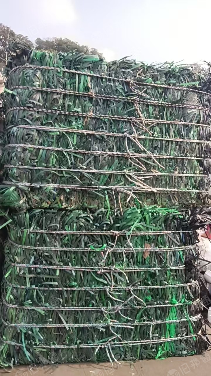 长期出售pet打包带废料，厂货，现货6*8一车