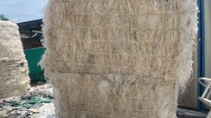 出售pe膜口杯纸边条