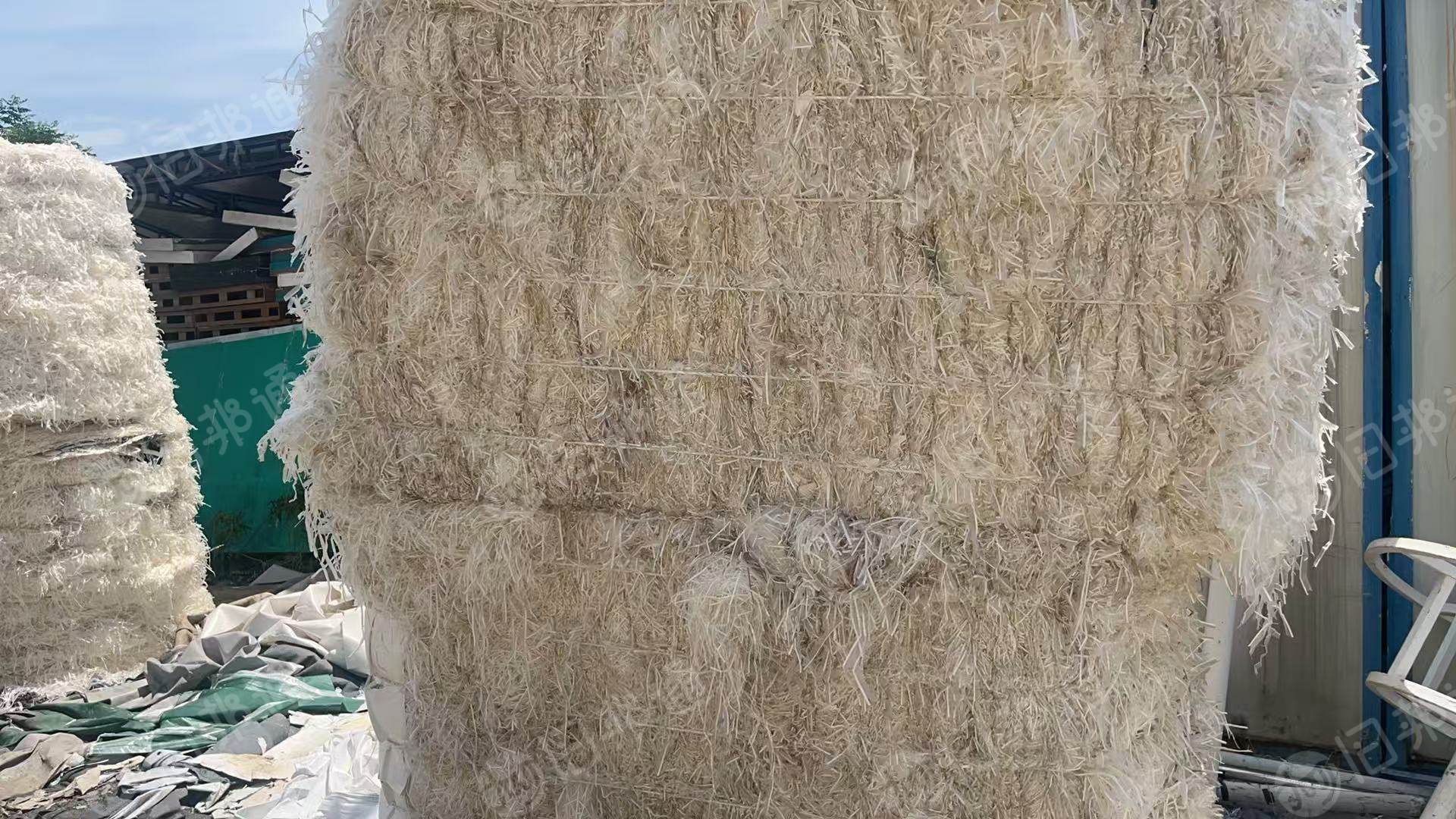 出售pe膜口杯纸边条