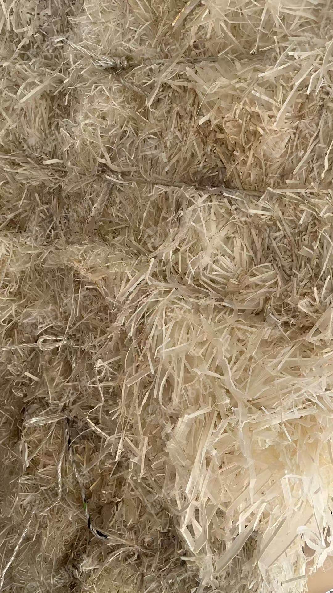 出售pe膜口杯纸边条