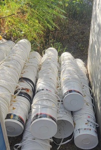 出售涂料桶毛料，现货300个