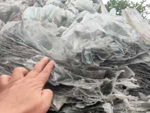 长期出售大棚膜废料