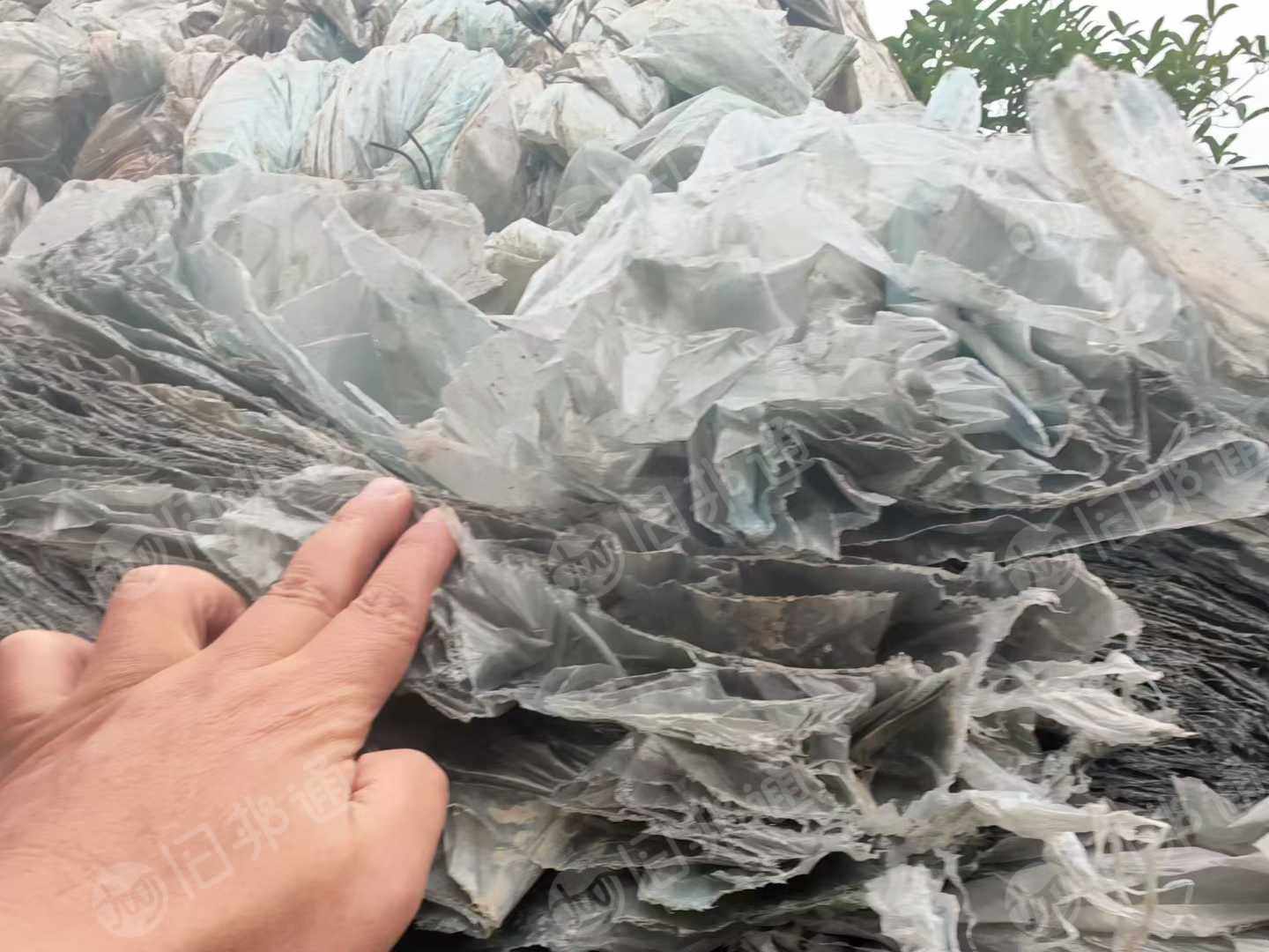 长期出售大棚膜废料