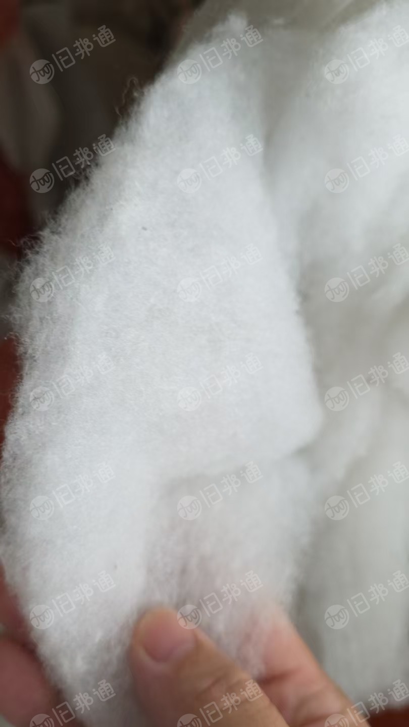 长期出售丝棉下脚料，丝棉料，有带无纺布的也有没带的，统货走，现货六吨