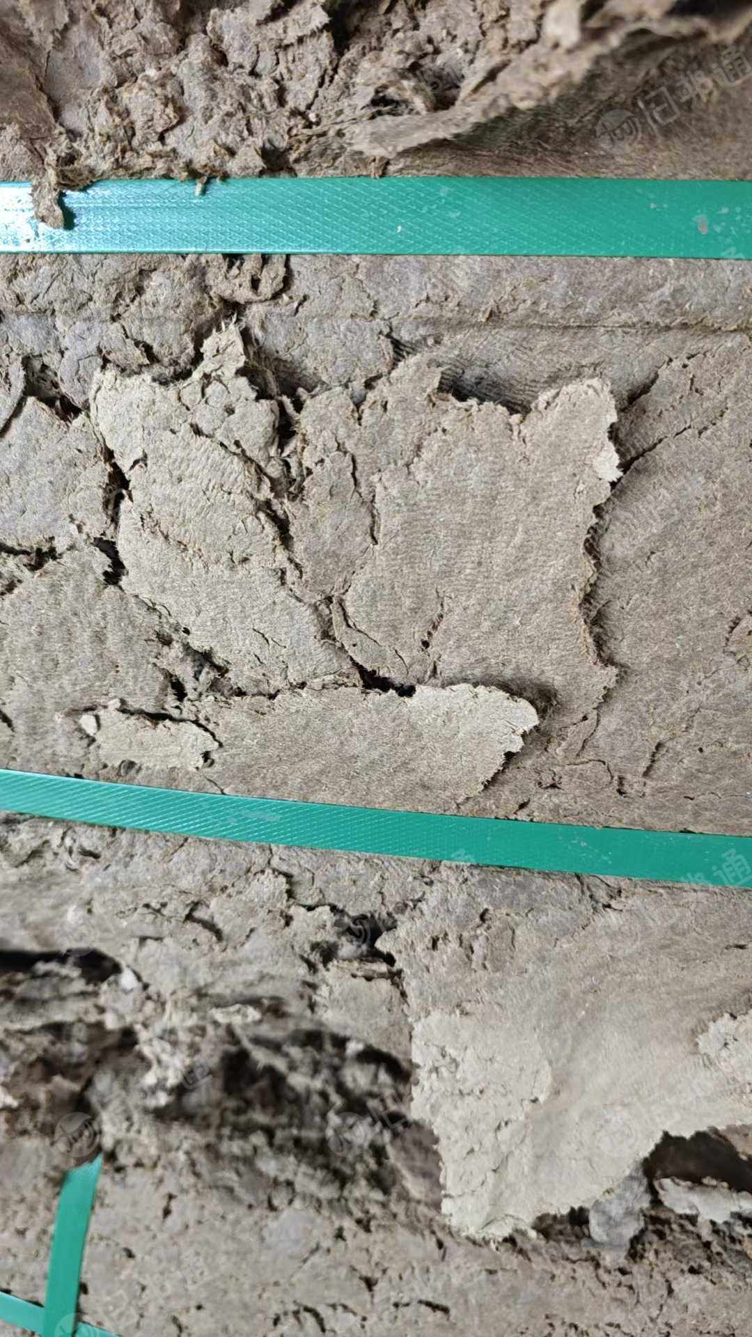 本厂长年出售本色过压力筛打包纸浆