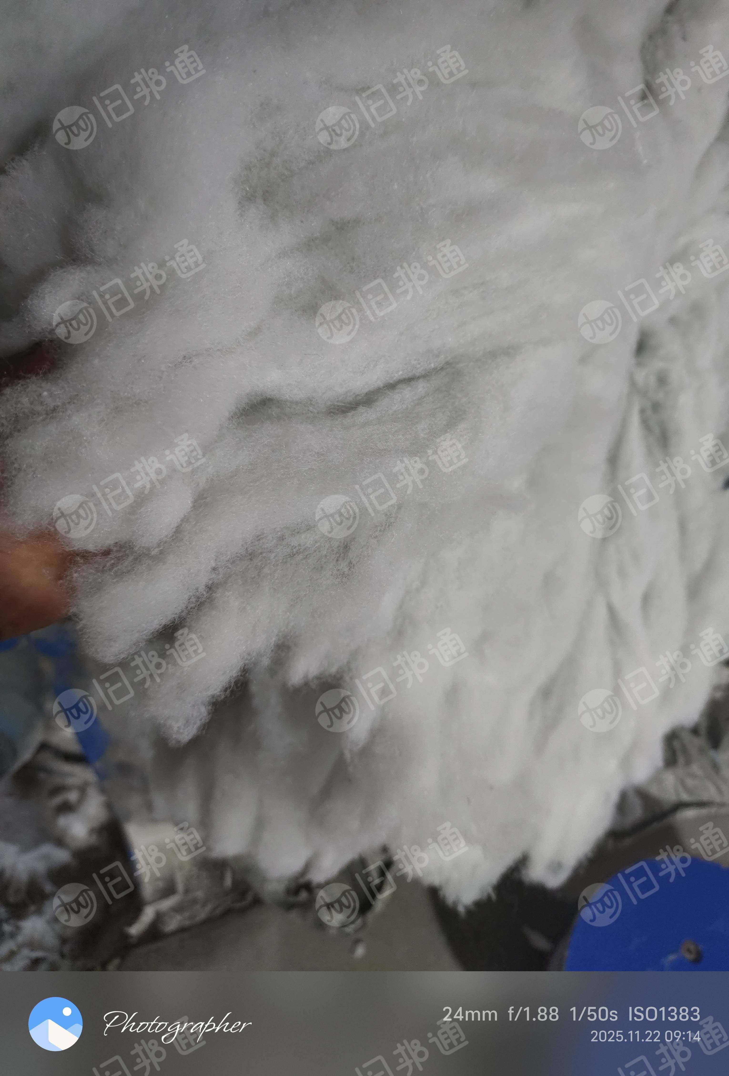 长期出售丝棉开出来开花棉，有二维纤维和三维纤维，可以做行缝棉，垫子，针刺棉，填充棉