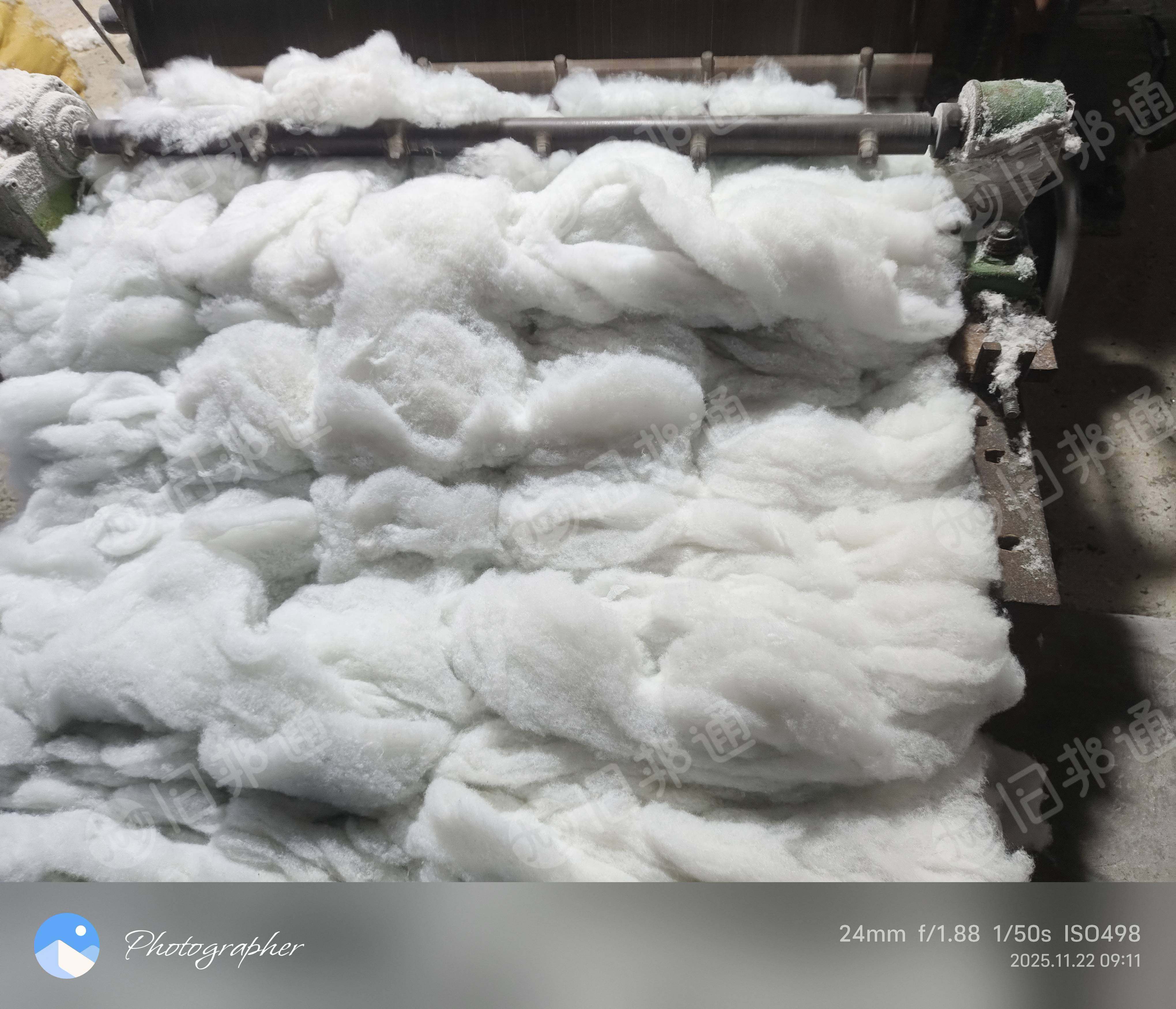 长期出售丝棉开出来开花棉，有二维纤维和三维纤维，可以做行缝棉，垫子，针刺棉，填充棉