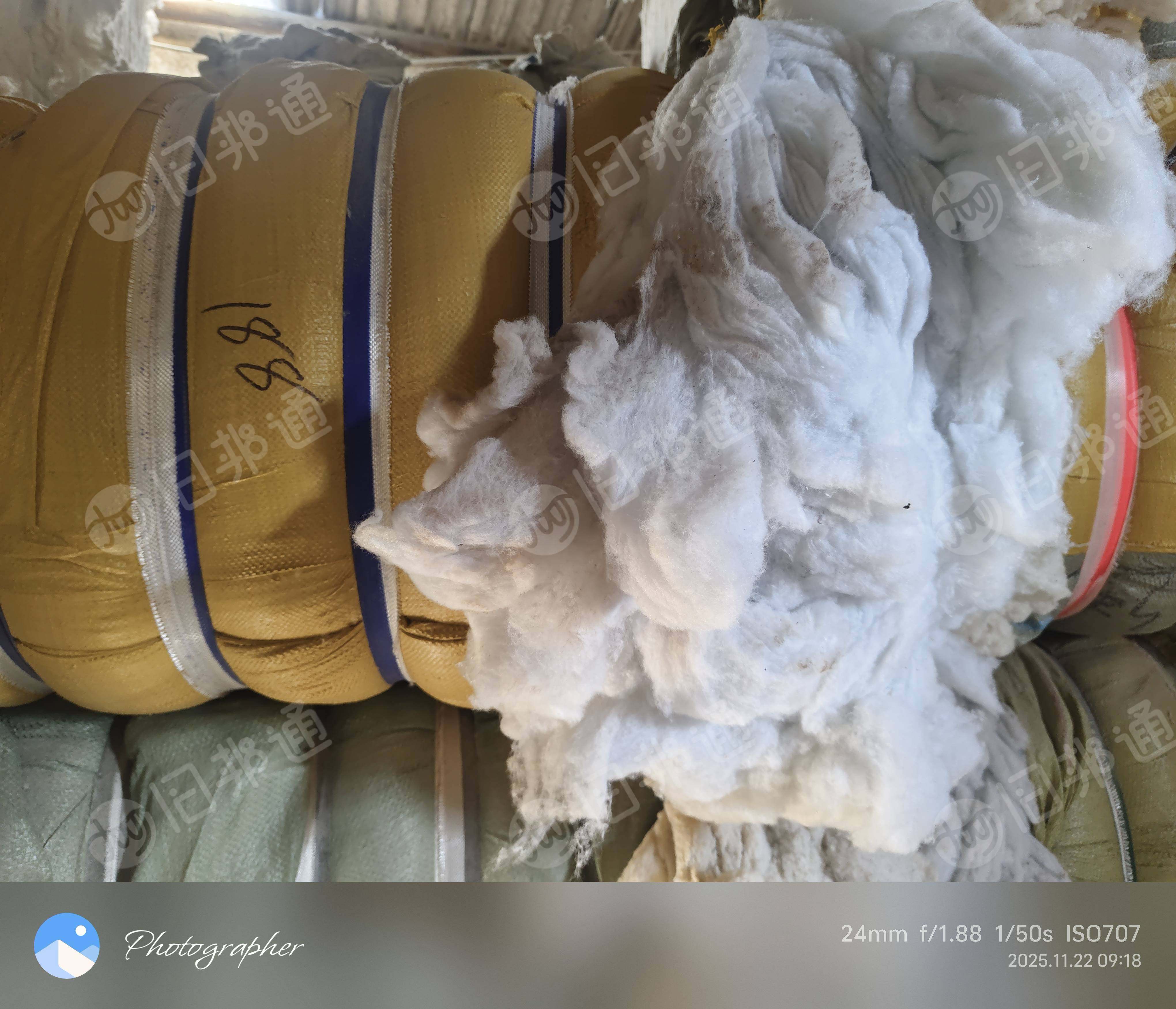 长期出售丝棉开出来开花棉，有二维纤维和三维纤维，可以做行缝棉，垫子，针刺棉，填充棉