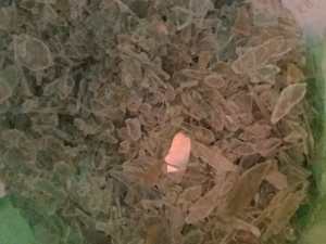 出售干粉冰箱抽屉透苯破碎，GPPS破碎料，月供10吨