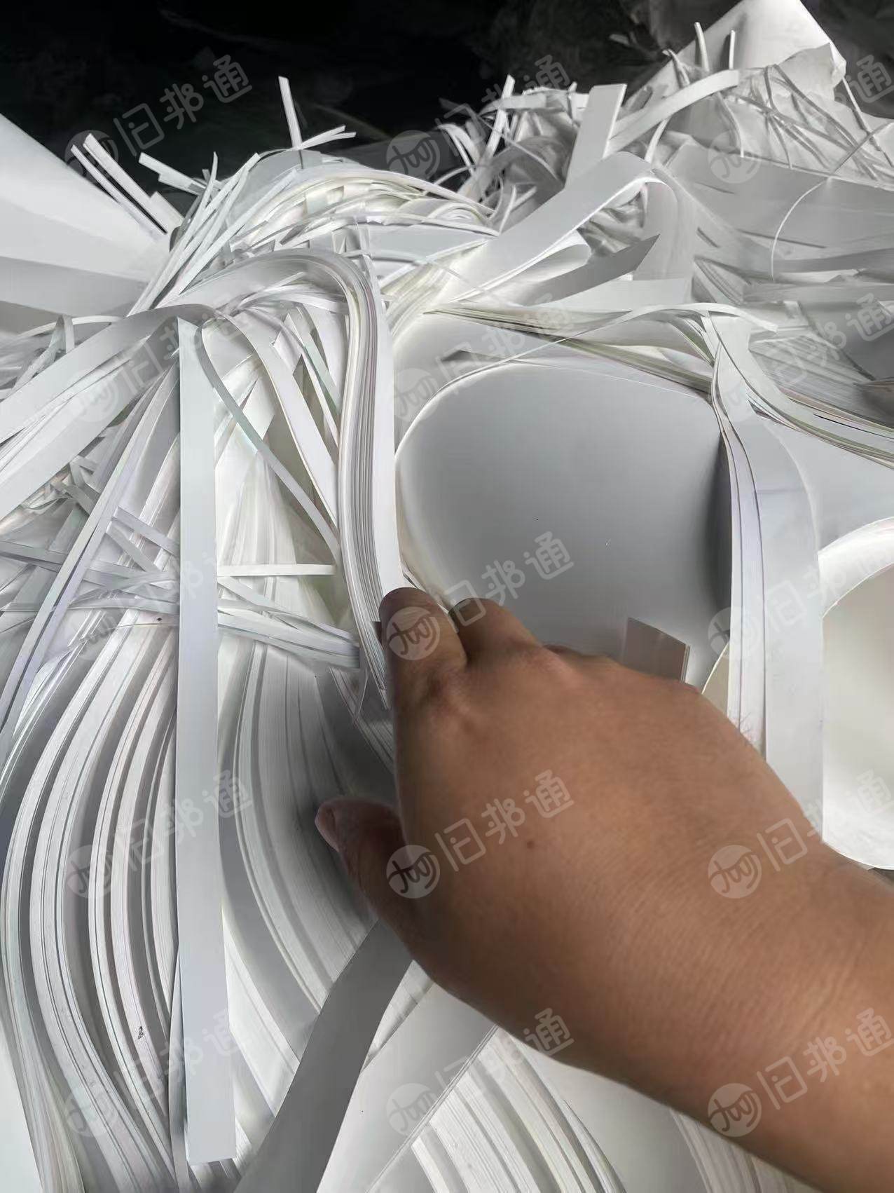 长期出售膜厂下来的pp膜边角料