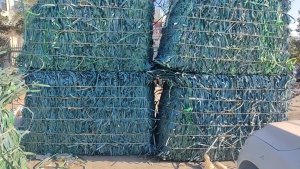 出售pet打包带毛料，现货9.6一车