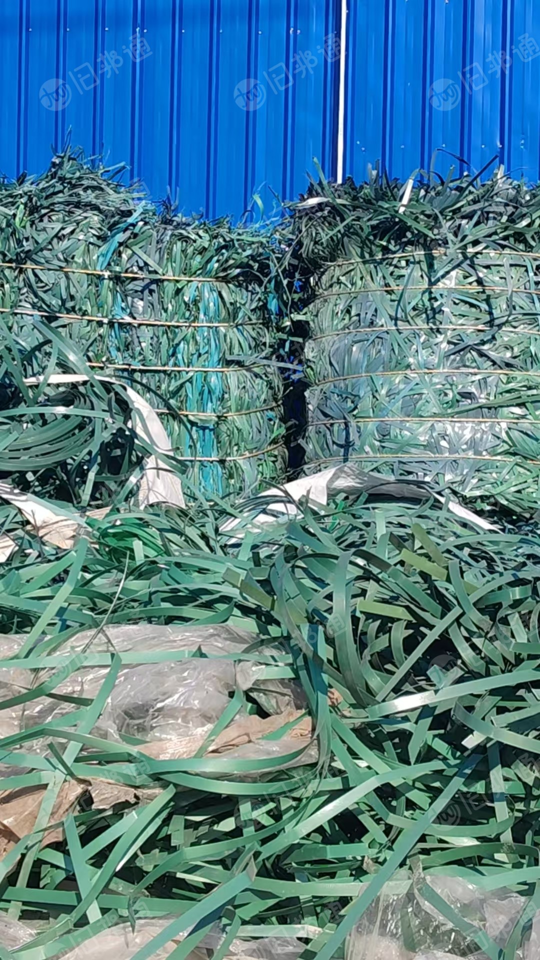 出售pet打包带毛料，现货9.6一车