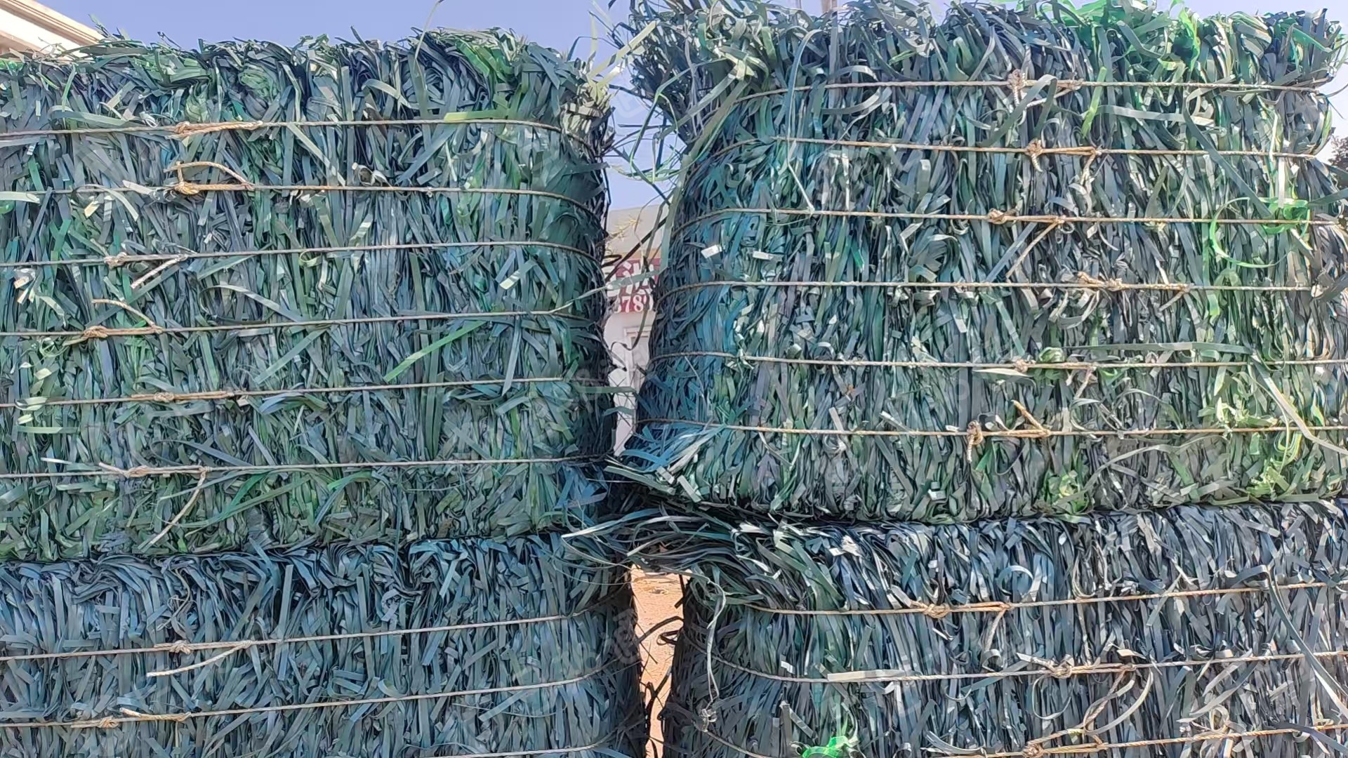 出售pet打包带毛料，现货9.6一车