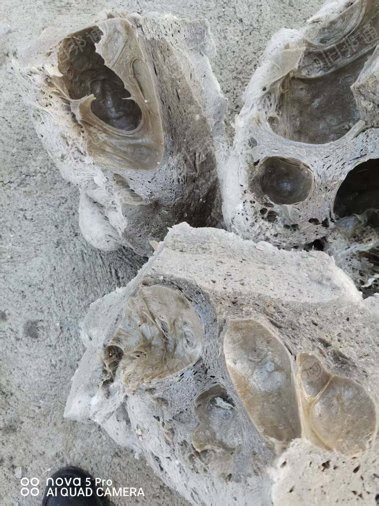 出售EPS热熔块，现货10吨，社会料做的