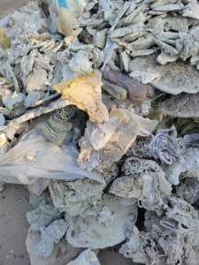 长期求购PE机头料，高、低压机头料，膜机头料，花乙机头料等