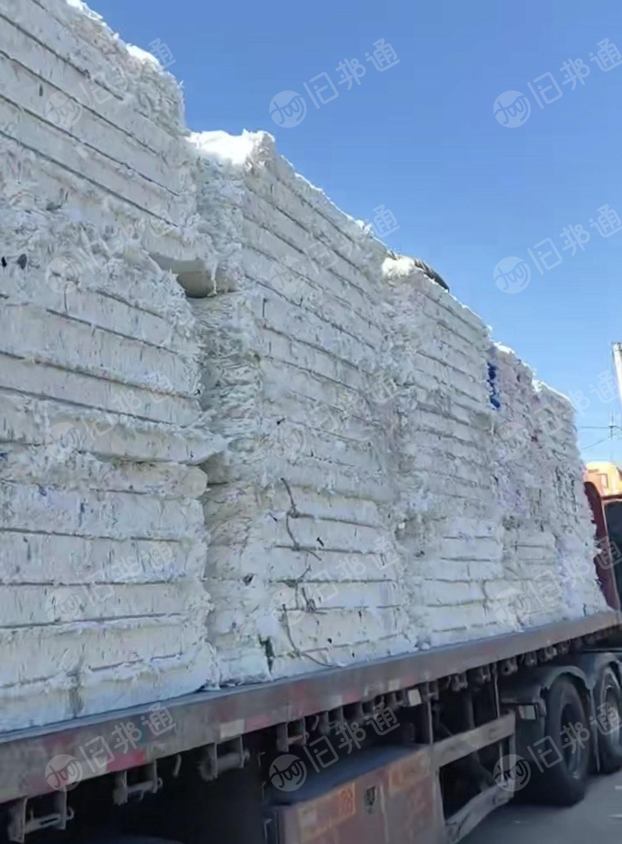 长期收，无纺布，pp，pe，eve练油料