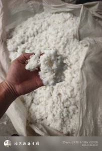 出售全棉毛毛料，磨毛料，含棉95%以上，干的，有压包，月供十几吨，货在山东济宁