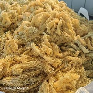 出售芳纶网套，芳纶乱丝，现货只有两三吨，货在山东德州