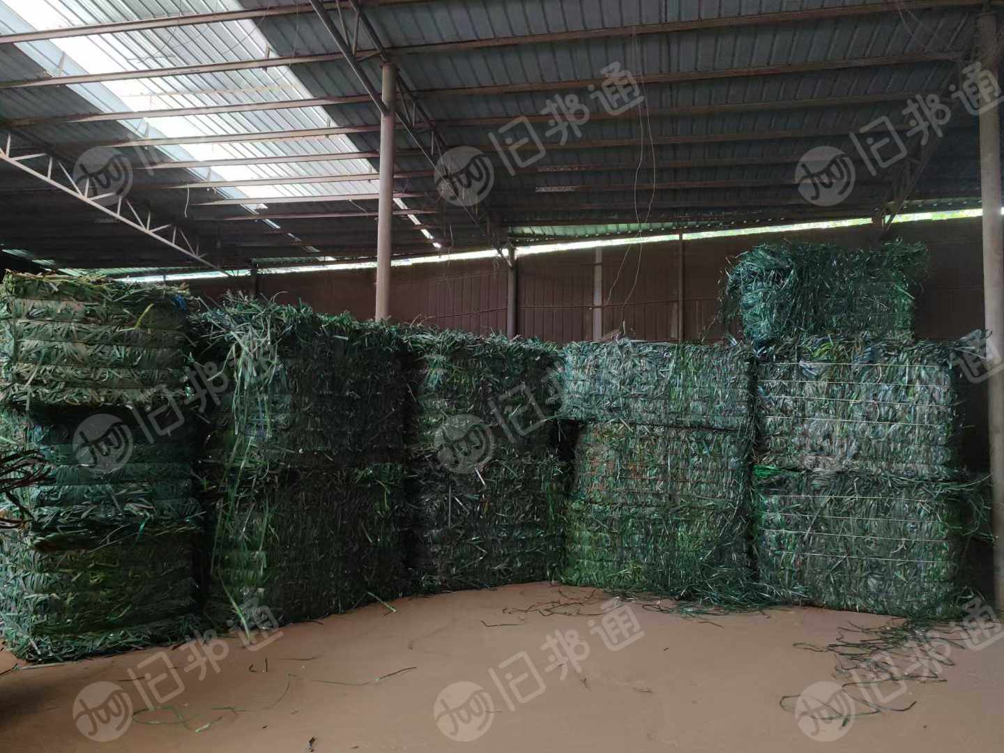 长期求购Pet打包带毛料，破碎用