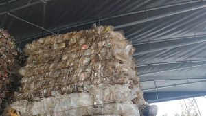 常年出售透明PP饭盒压包料