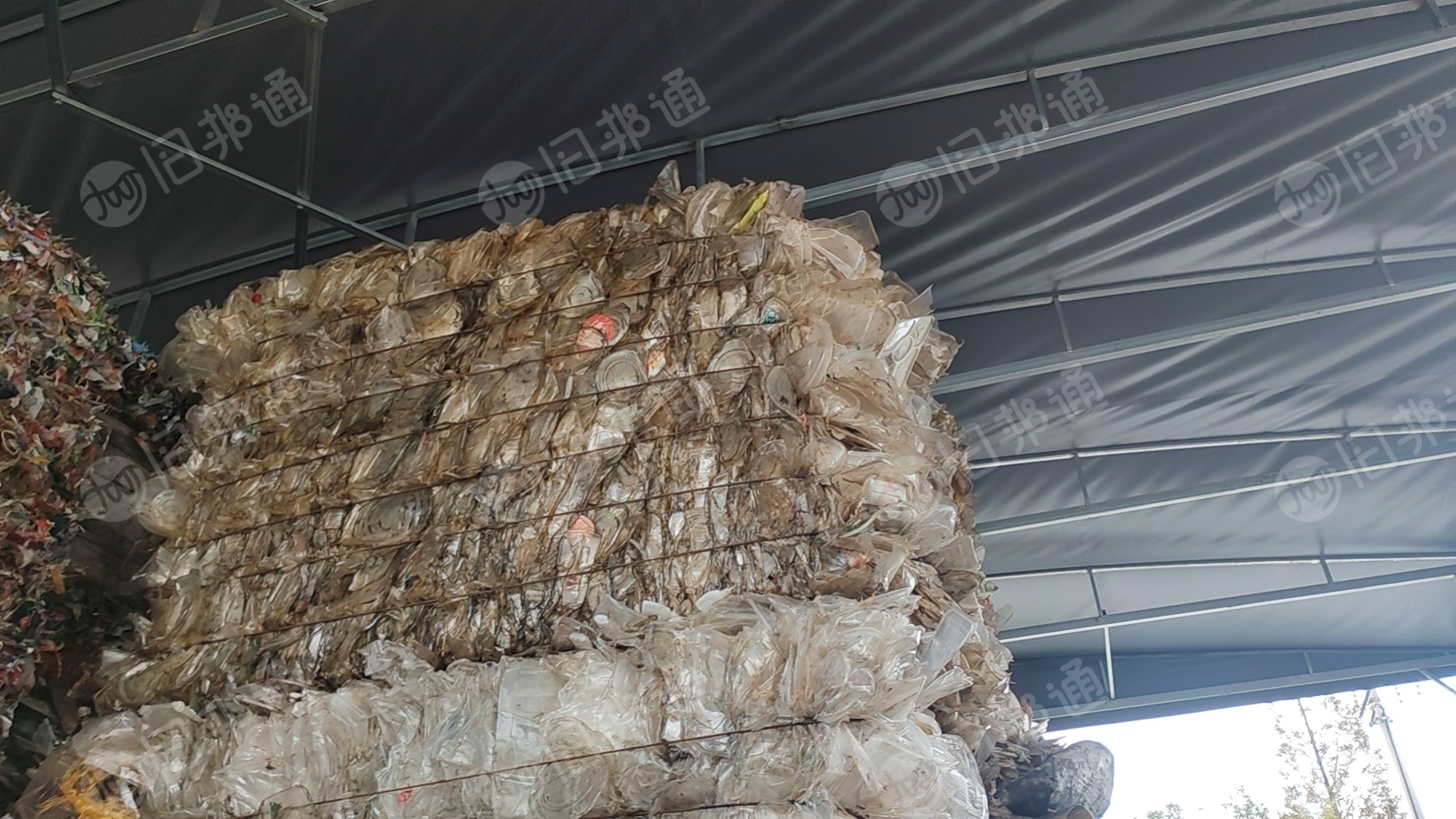 常年出售透明PP饭盒压包料