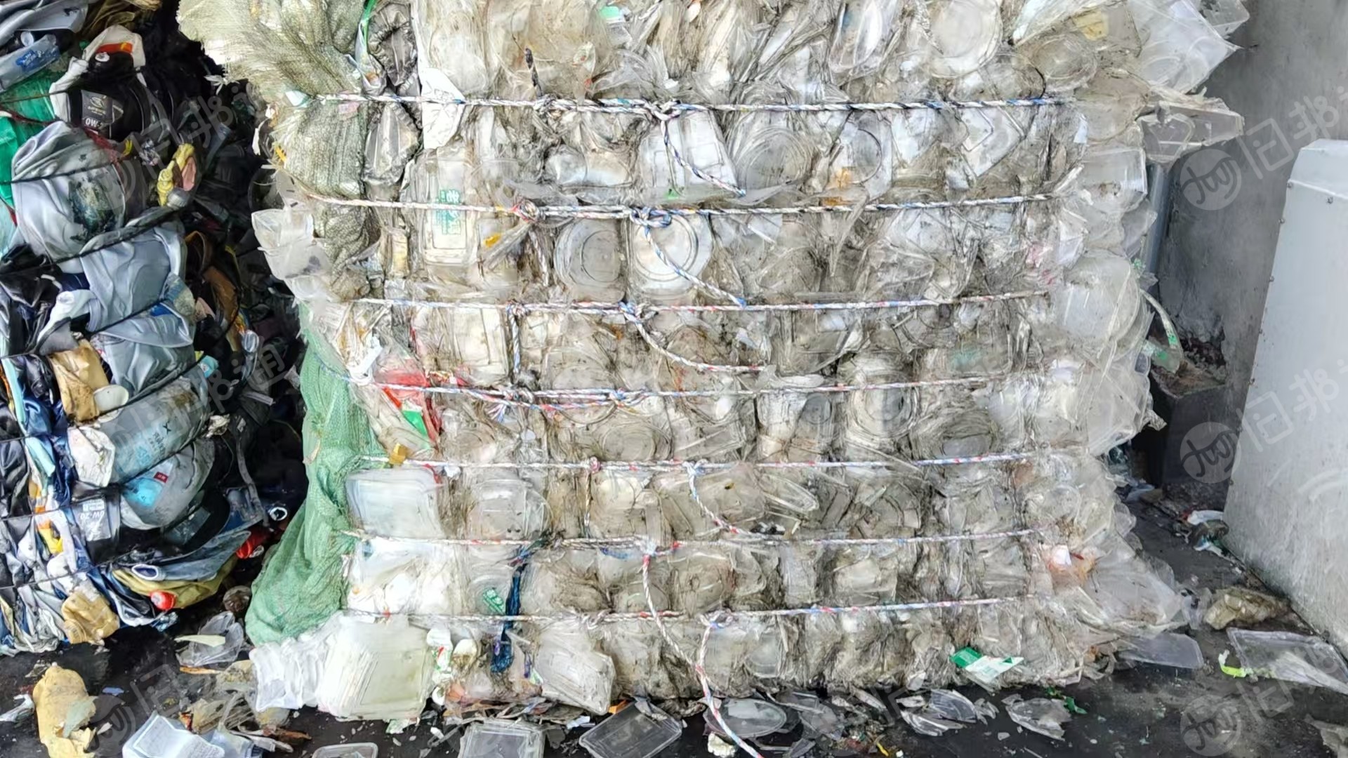 常年出售透明PP饭盒压包料