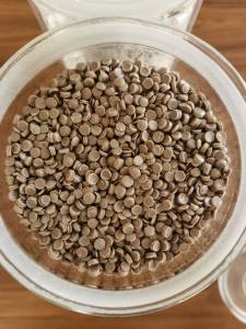 出售PE电池膜颗粒，PE再生颗粒，管道工厂可用