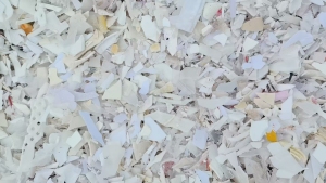 出售pp白丙破碎料，日杂的，月供80吨