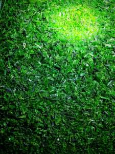 出售pet打包带破碎料，水粉破碎料