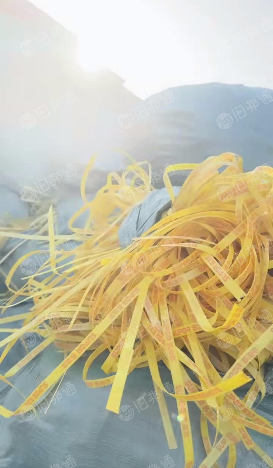 出售PP打包带废料