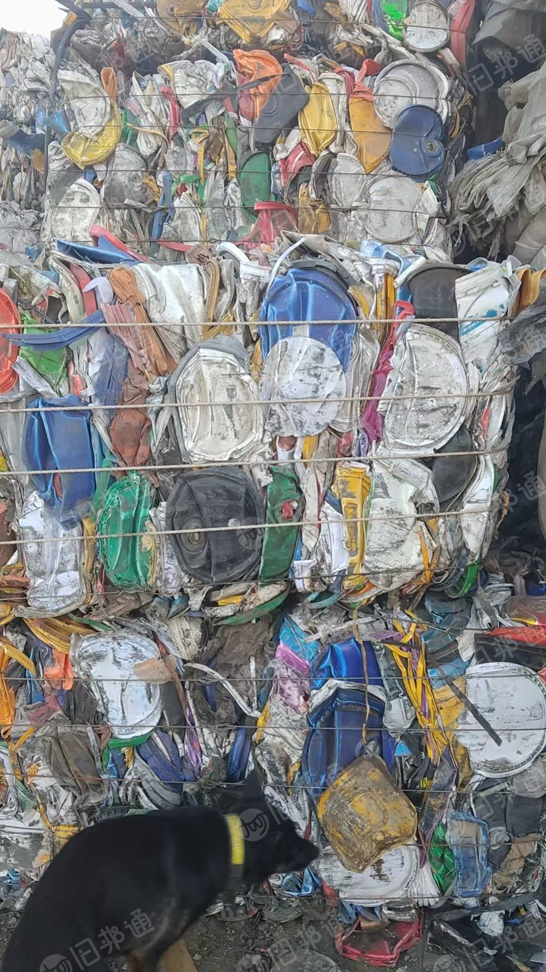 长期出售涂料桶压块，涂料桶毛料