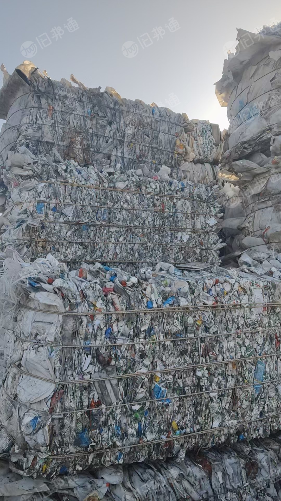 长期出售白乙压块，花乙压块