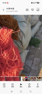 长期回收羊毛料，没有味道的，太旧的不要，羊毛含量80及以上的都可以，做开毛的，月需几百吨