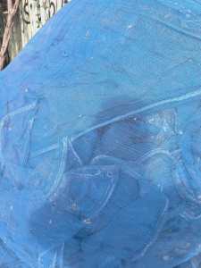 出售废旧安全网蓝网，常年有