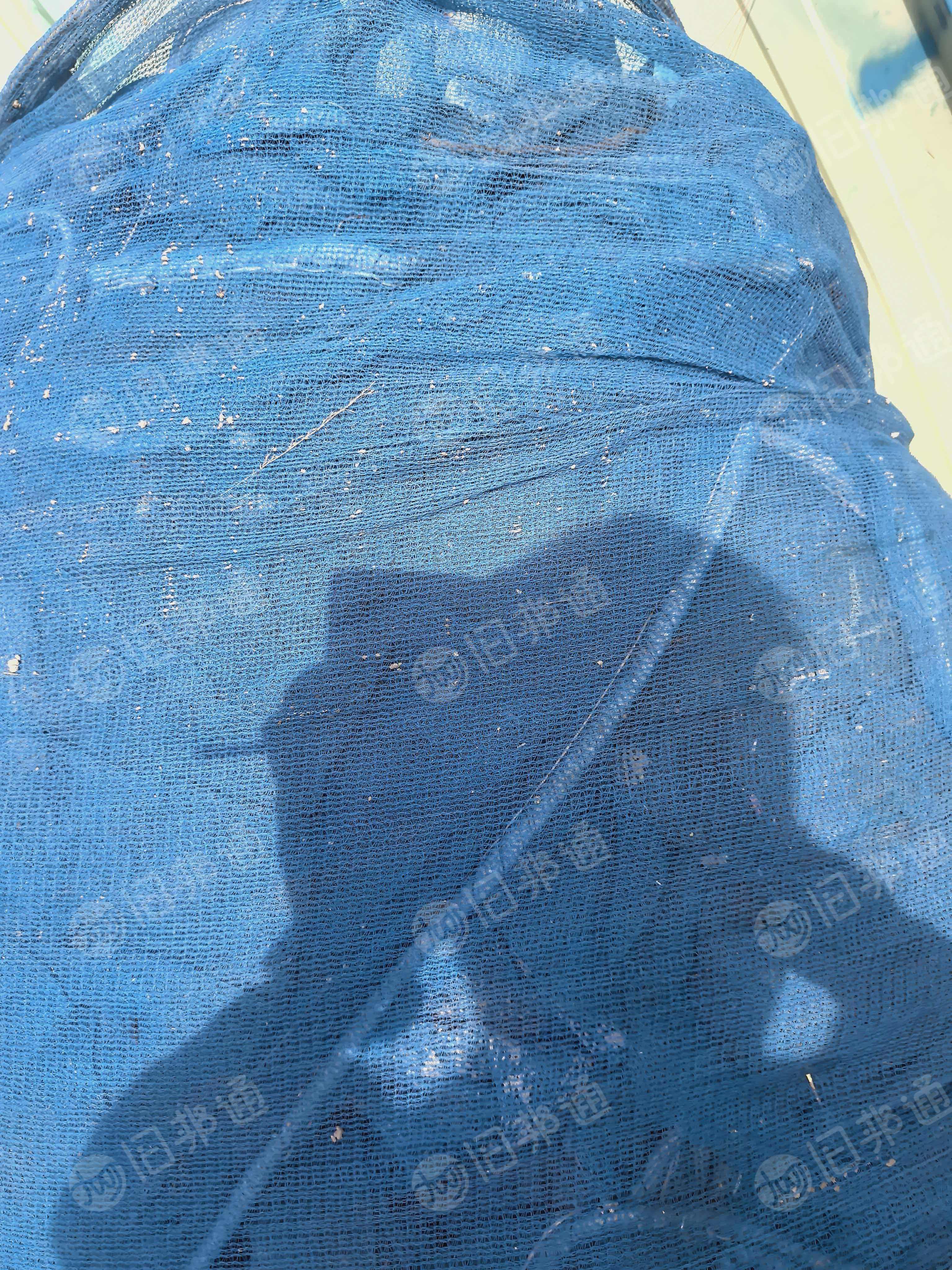 出售废旧安全网蓝网，常年有