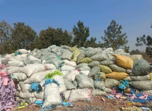 求购EVA鸡爪料，造粒用